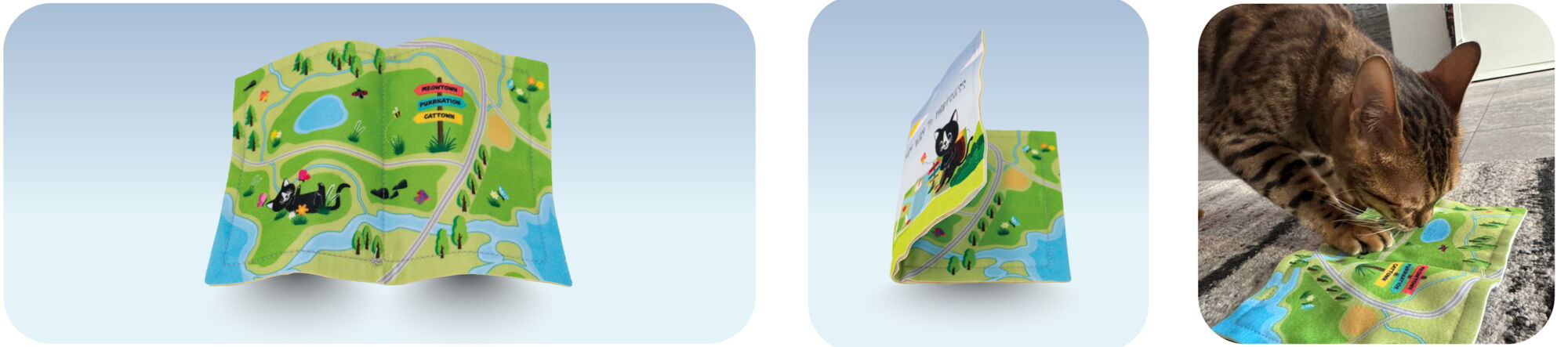 Banner 4cats SPACE Impression