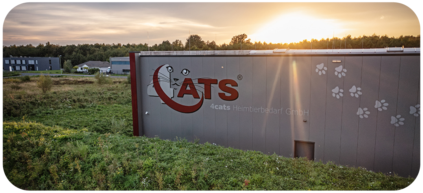 4cats Werte mit Verantwortung gemacht